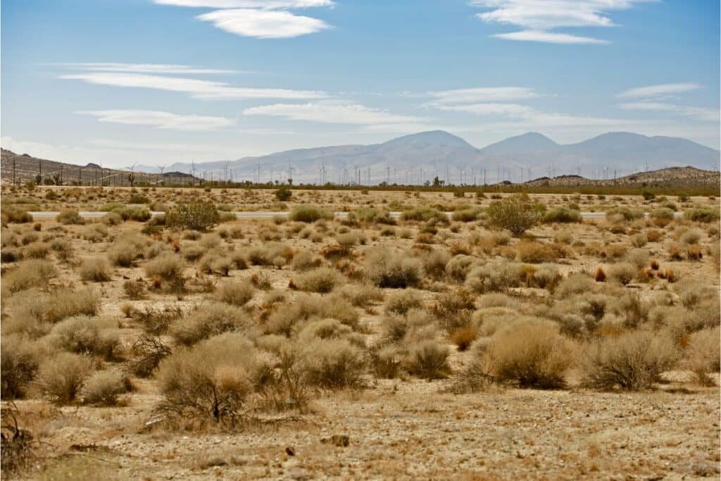 paisagem no deserto de Mojave